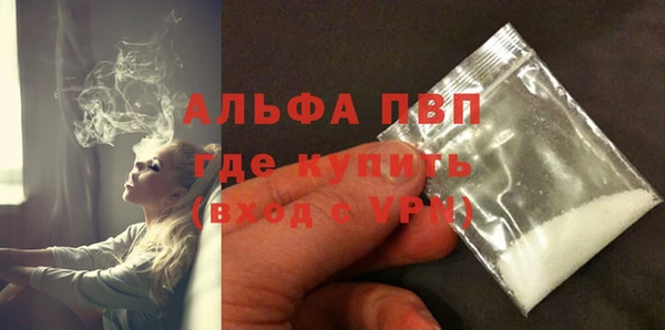 прущие грибы Елабуга