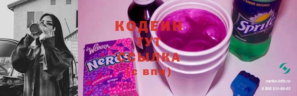 стафф Елизово
