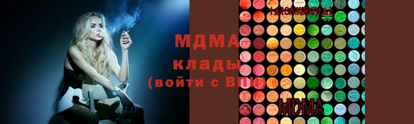 прущие грибы Елабуга