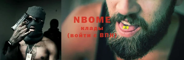 стафф Елизово