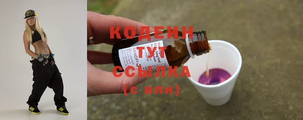 прущие грибы Елабуга