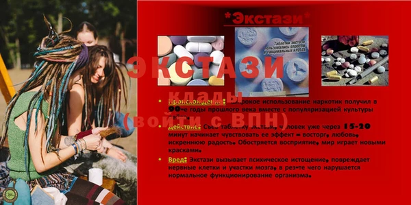 прущие грибы Елабуга