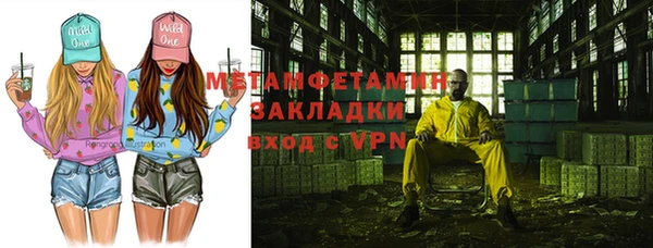 прущие грибы Елабуга