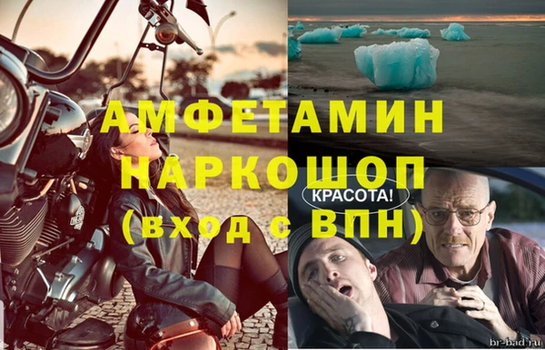 прущие грибы Елабуга