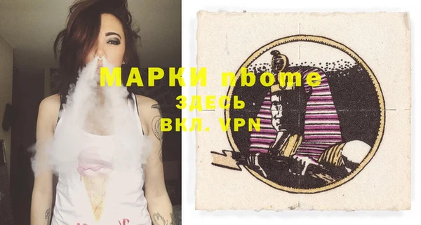 прущие грибы Елабуга