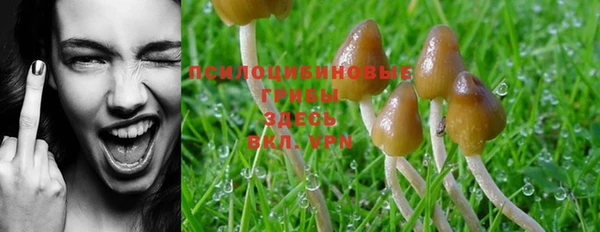 не бодяженный Ельня