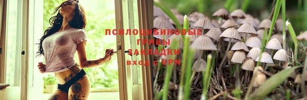 не бодяженный Ельня