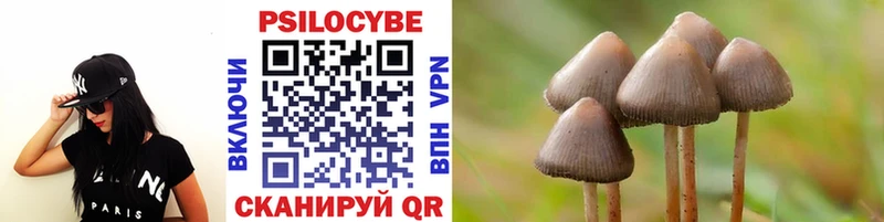 Галлюциногенные грибы Psilocybine cubensis Сальск
